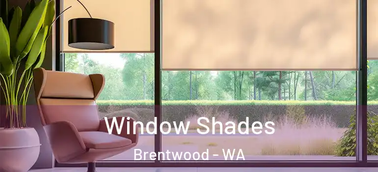 Window Shades Brentwood - WA