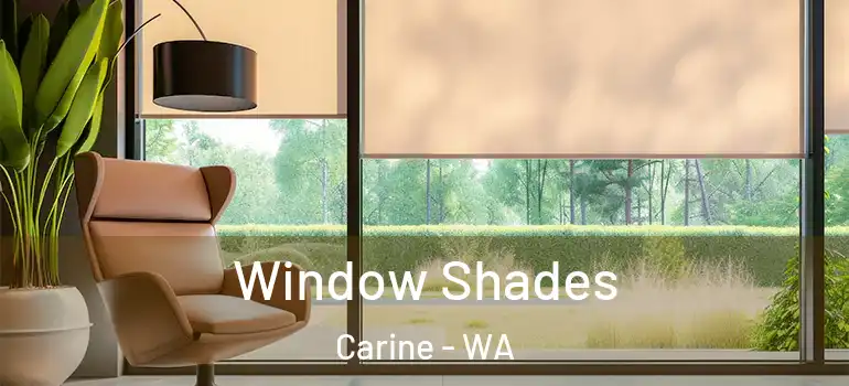 Window Shades Carine - WA