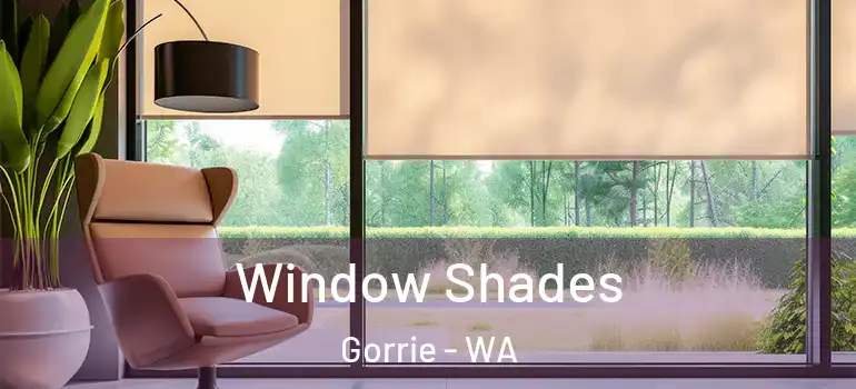 Window Shades Gorrie - WA