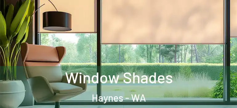Window Shades Haynes - WA