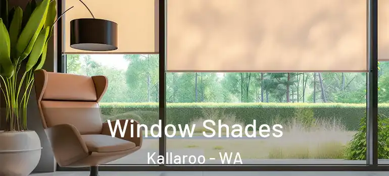 Window Shades Kallaroo - WA