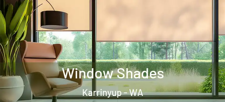 Window Shades Karrinyup - WA