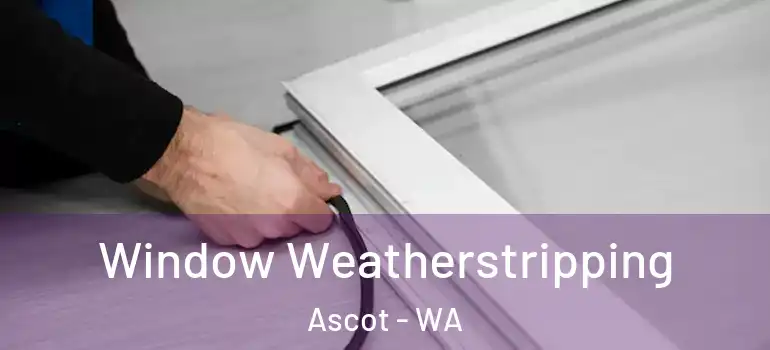 Window Weatherstripping Ascot - WA