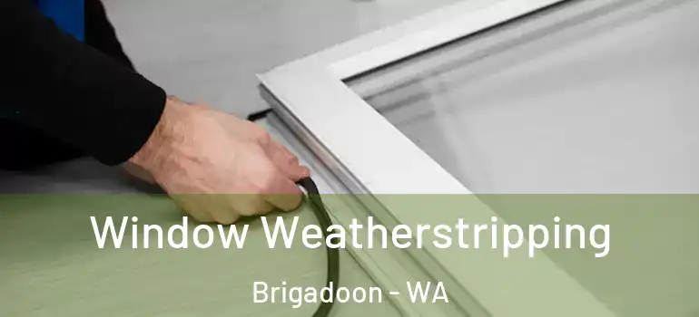 Window Weatherstripping Brigadoon - WA