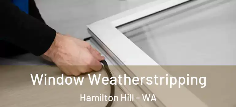  Window Weatherstripping Hamilton Hill - WA