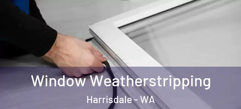 Window Weatherstripping Harrisdale - WA