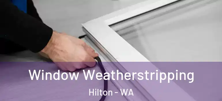 Window Weatherstripping Hilton - WA