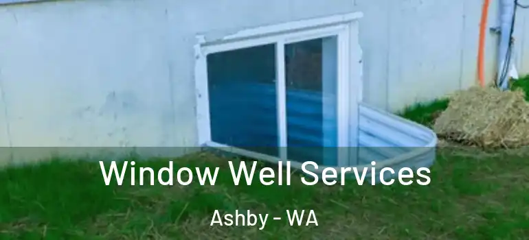  Window Well Services Ashby - WA
