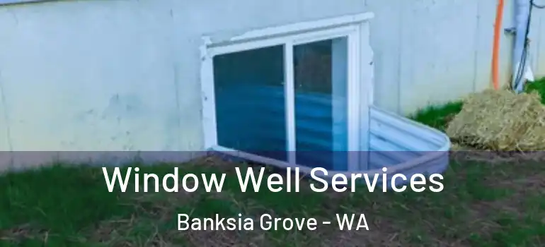 Window Well Services Banksia Grove - WA