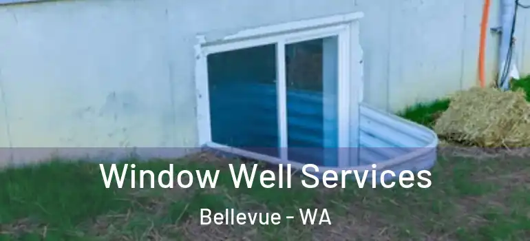  Window Well Services Bellevue - WA
