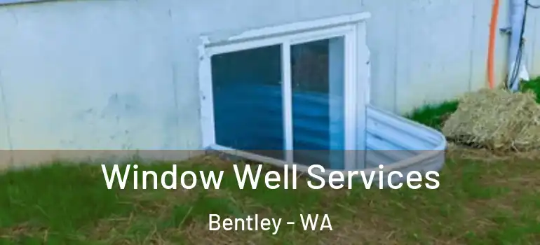 Window Well Services Bentley - WA