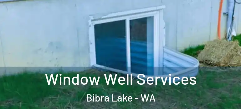 Window Well Services Bibra Lake - WA