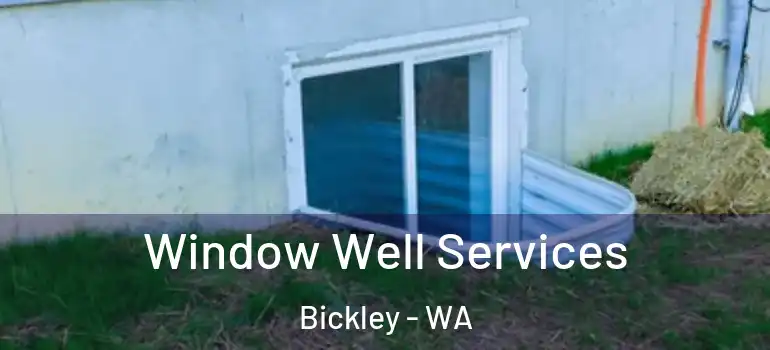  Window Well Services Bickley - WA