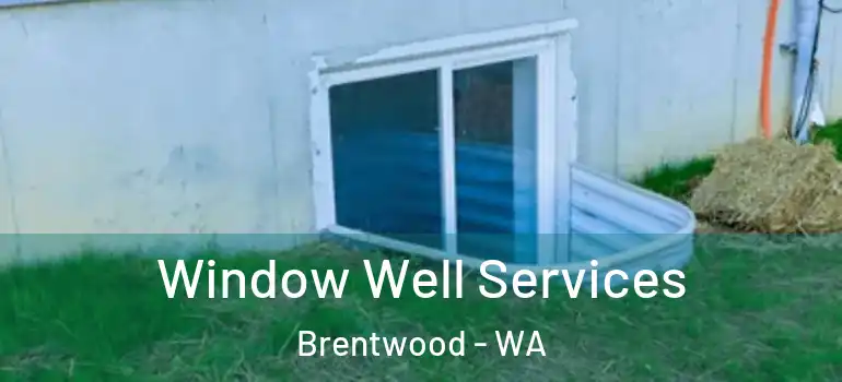  Window Well Services Brentwood - WA