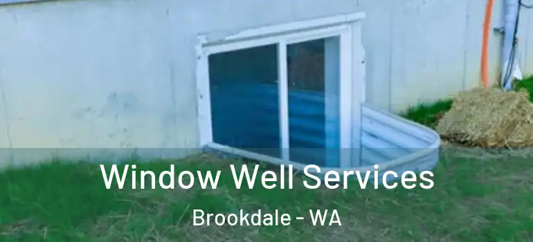 Window Well Services Brookdale - WA