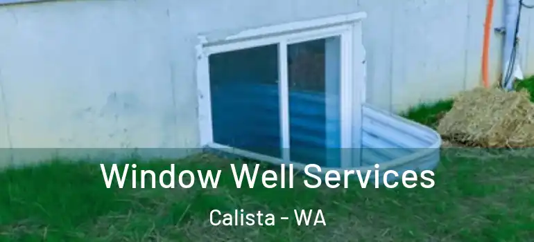  Window Well Services Calista - WA