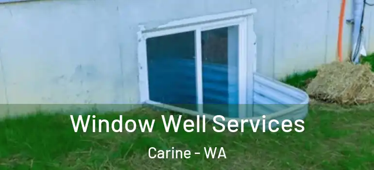  Window Well Services Carine - WA