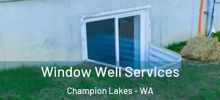 Window Well Services Champion Lakes - WA