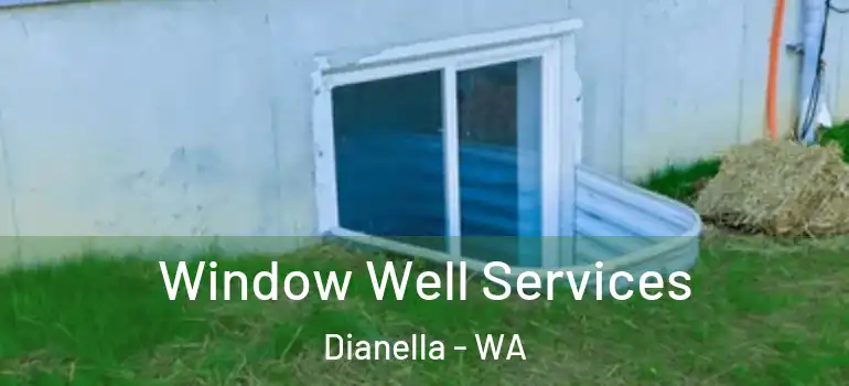 Window Well Services Dianella - WA