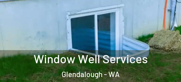  Window Well Services Glendalough - WA