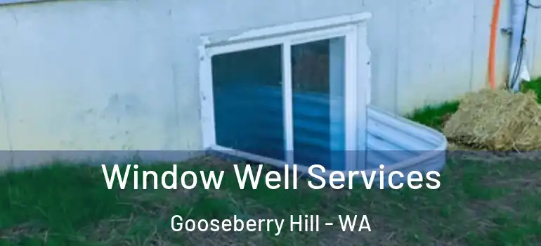 Window Well Services Gooseberry Hill - WA