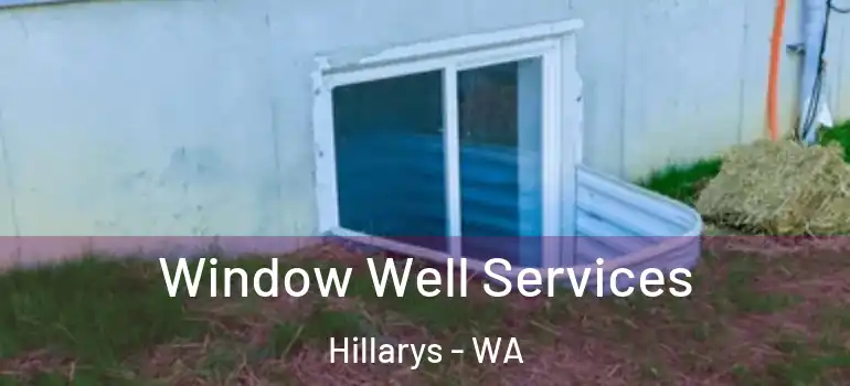  Window Well Services Hillarys - WA