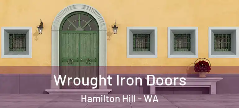Wrought Iron Doors Hamilton Hill - WA